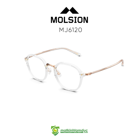 Gọng kính MOLSION MJ6120 - Ảnh 12
