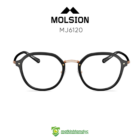 Gọng kính MOLSION MJ6120