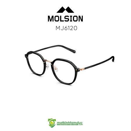 Gọng kính MOLSION MJ6120 - Ảnh 4