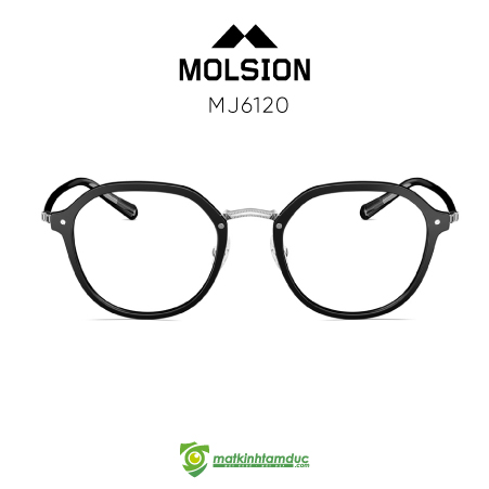 Gọng kính MOLSION MJ6120 - Ảnh 5