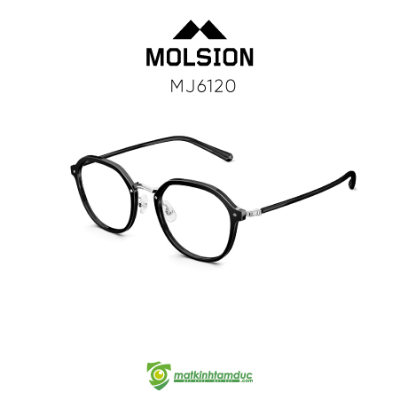 Gọng kính MOLSION MJ6120 - Ảnh 6