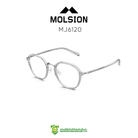 Gọng kính MOLSION MJ6120 - Ảnh 8