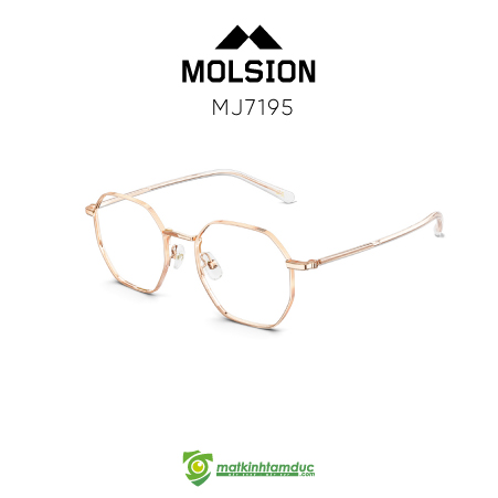 Gọng kính MOLSION MJ7195