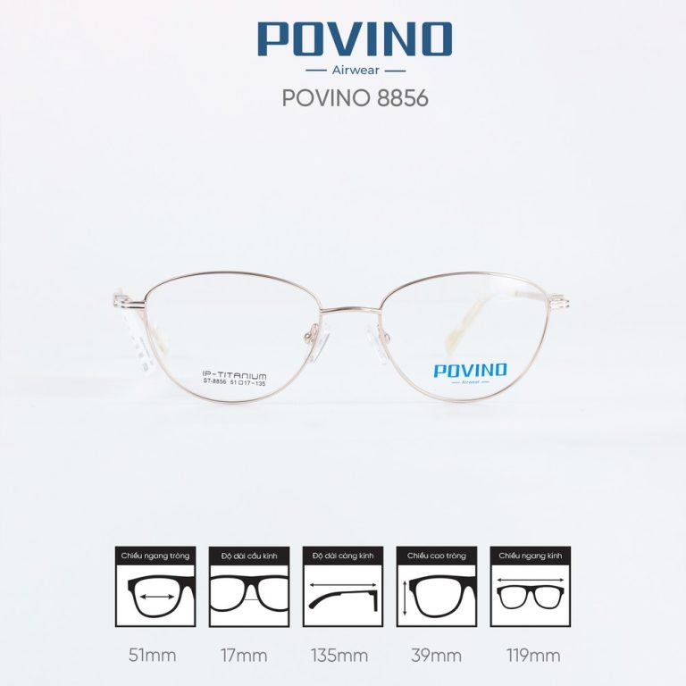 Gọng kính POVINO ST8856 - Ảnh 1