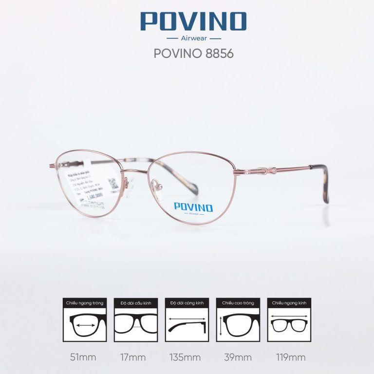 Gọng kính POVINO ST8856 - Ảnh 5