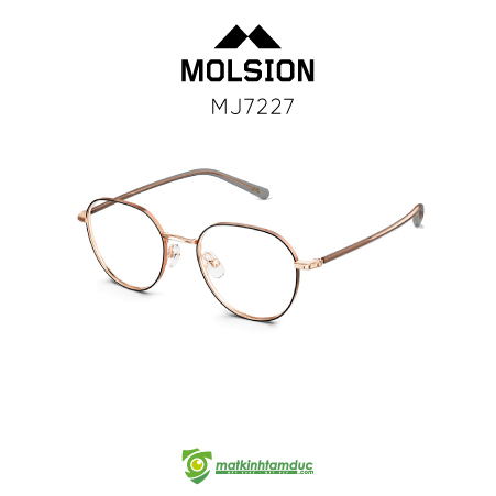 Gọng kính MOLSION MJ7227 - Ảnh 8