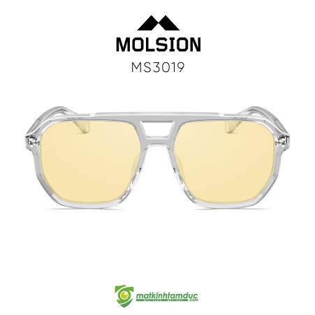 Kính Mát MOLSION MS3019 - Ảnh 10