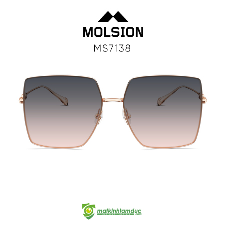 Kính Mát MOLSION MS7138 - Ảnh 8