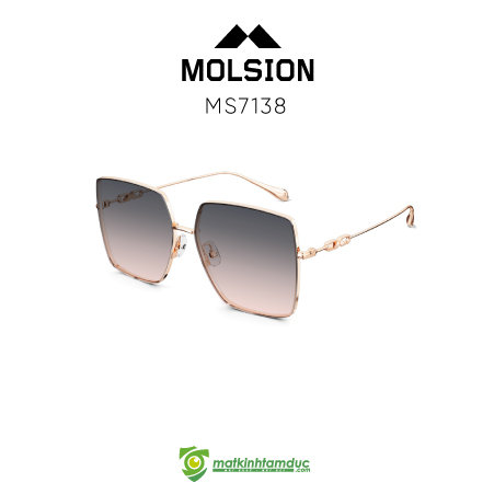 Kính Mát MOLSION MS7138 - Ảnh 7