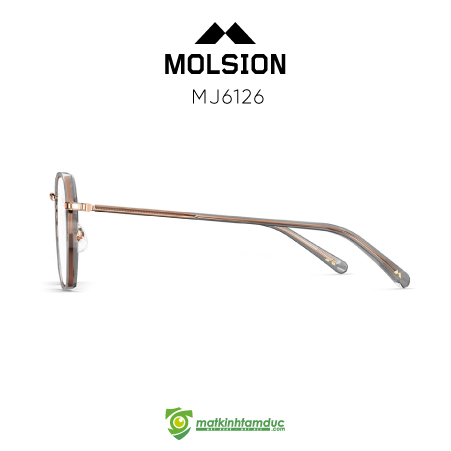 Gọng kính MOLSION MJ6126 - Ảnh 3