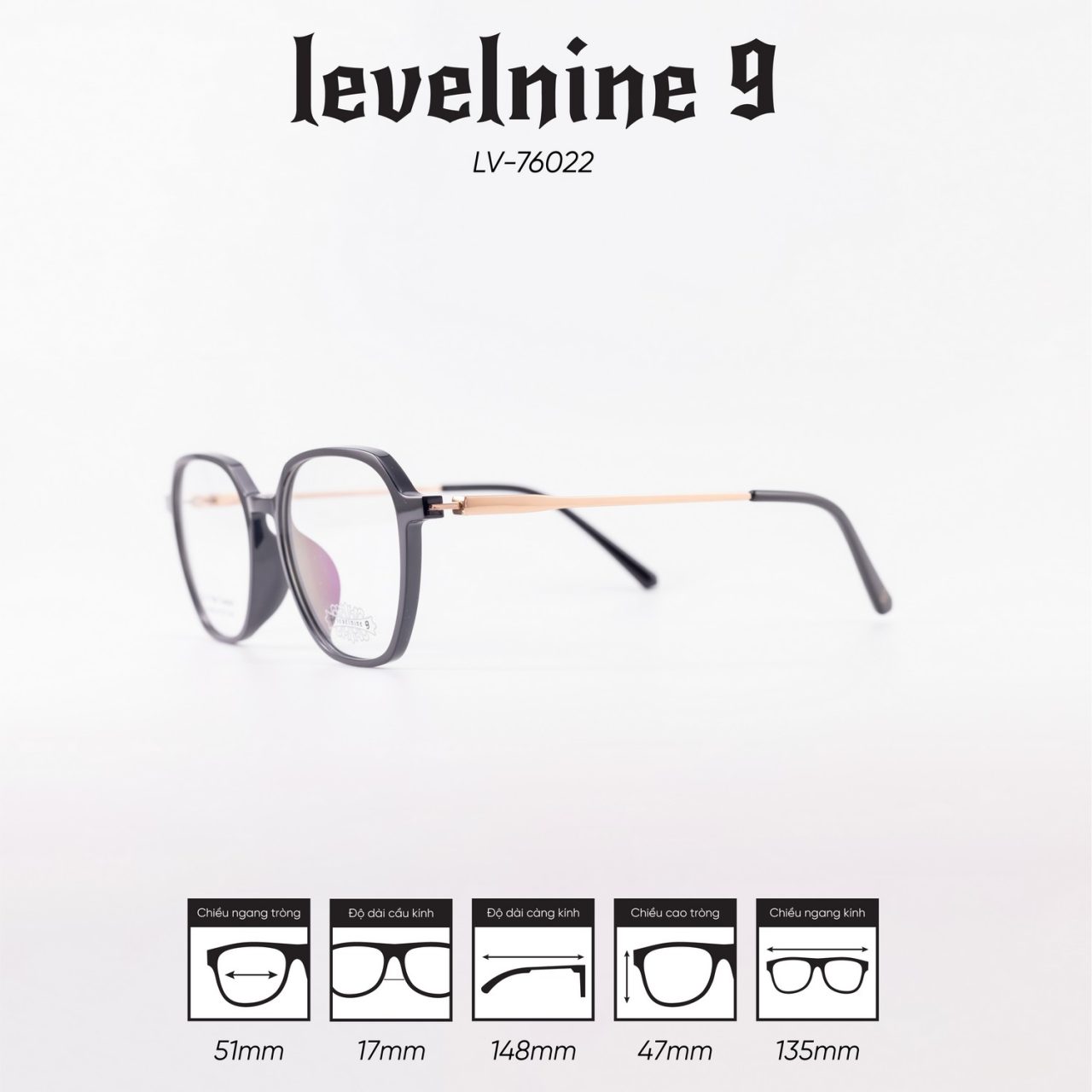 Gọng kính LEVELNINE LV-76022 - Ảnh 7