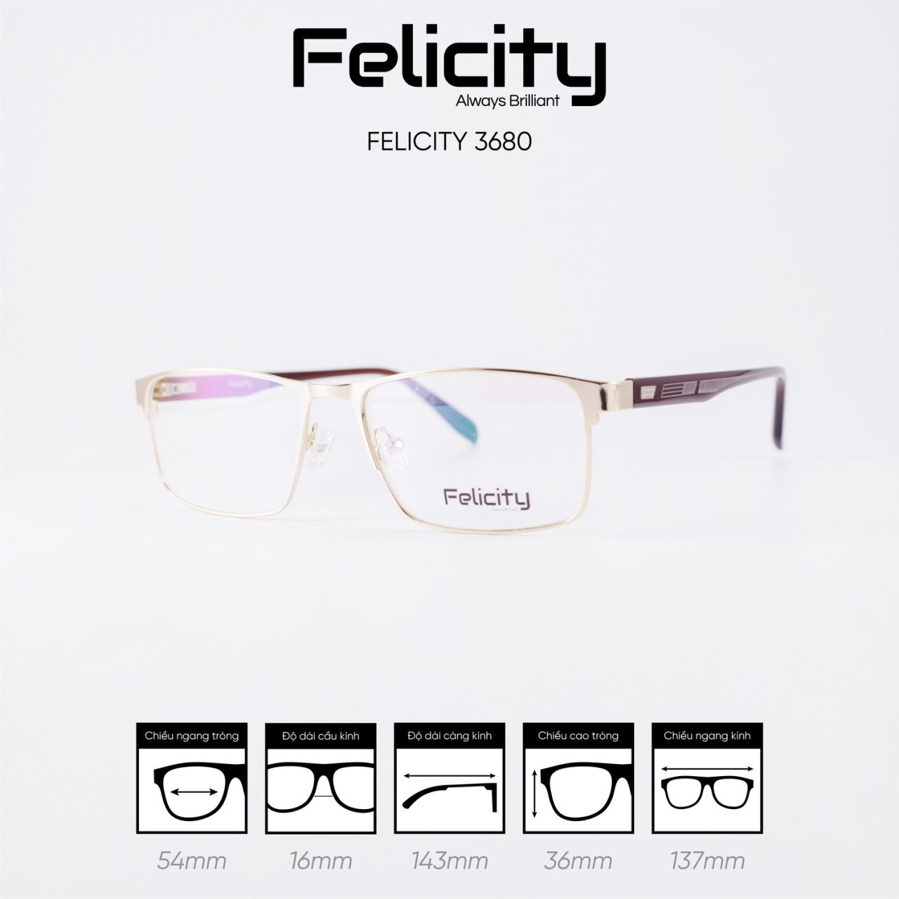 Gọng kính FELICITY 3680 - Ảnh 5