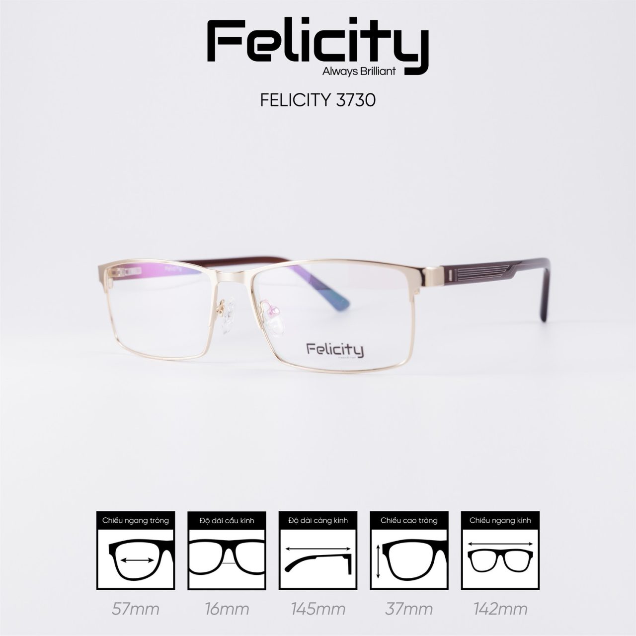 Gọng kính FELICITY 3730 - Ảnh 6