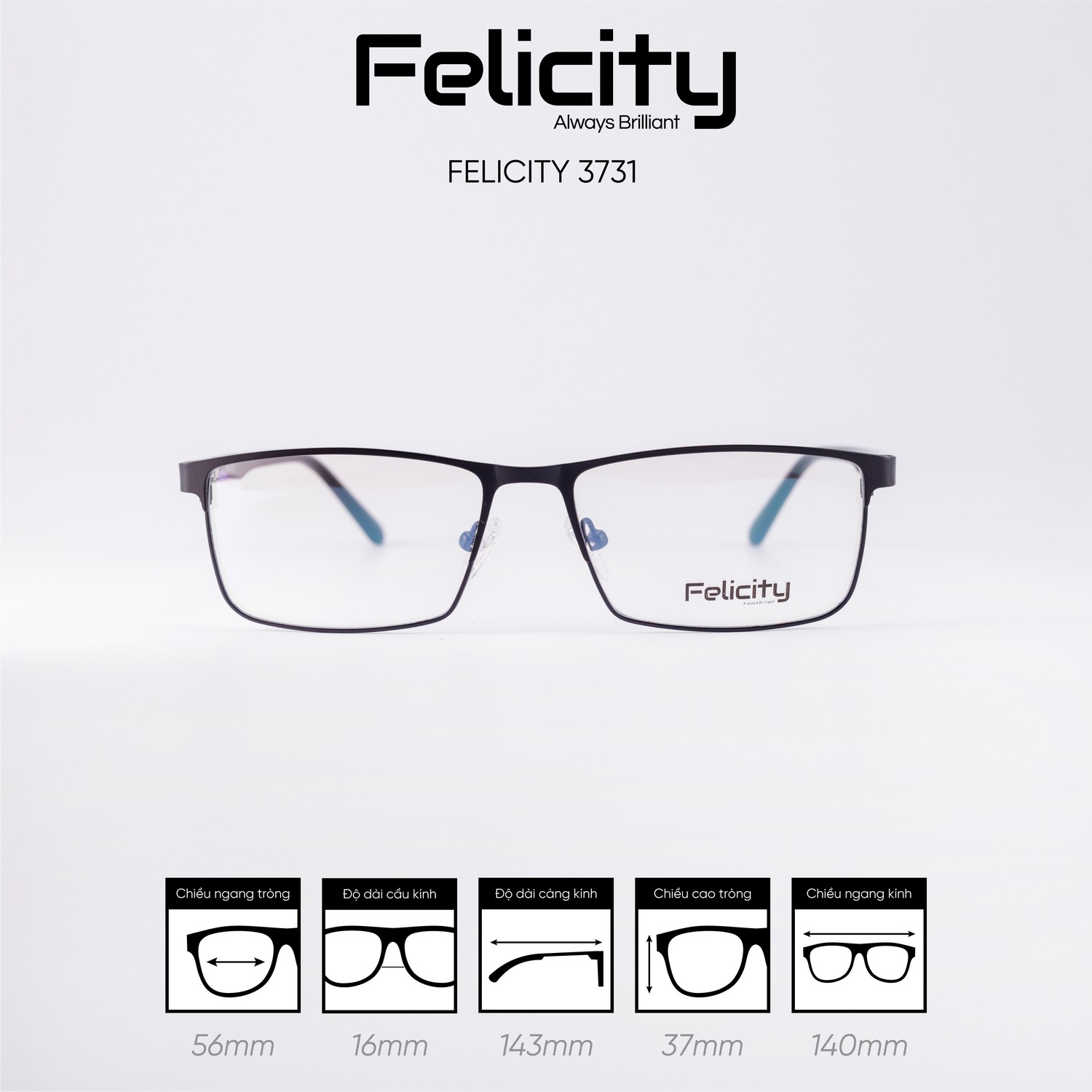 Gọng kính FELICITY 3731