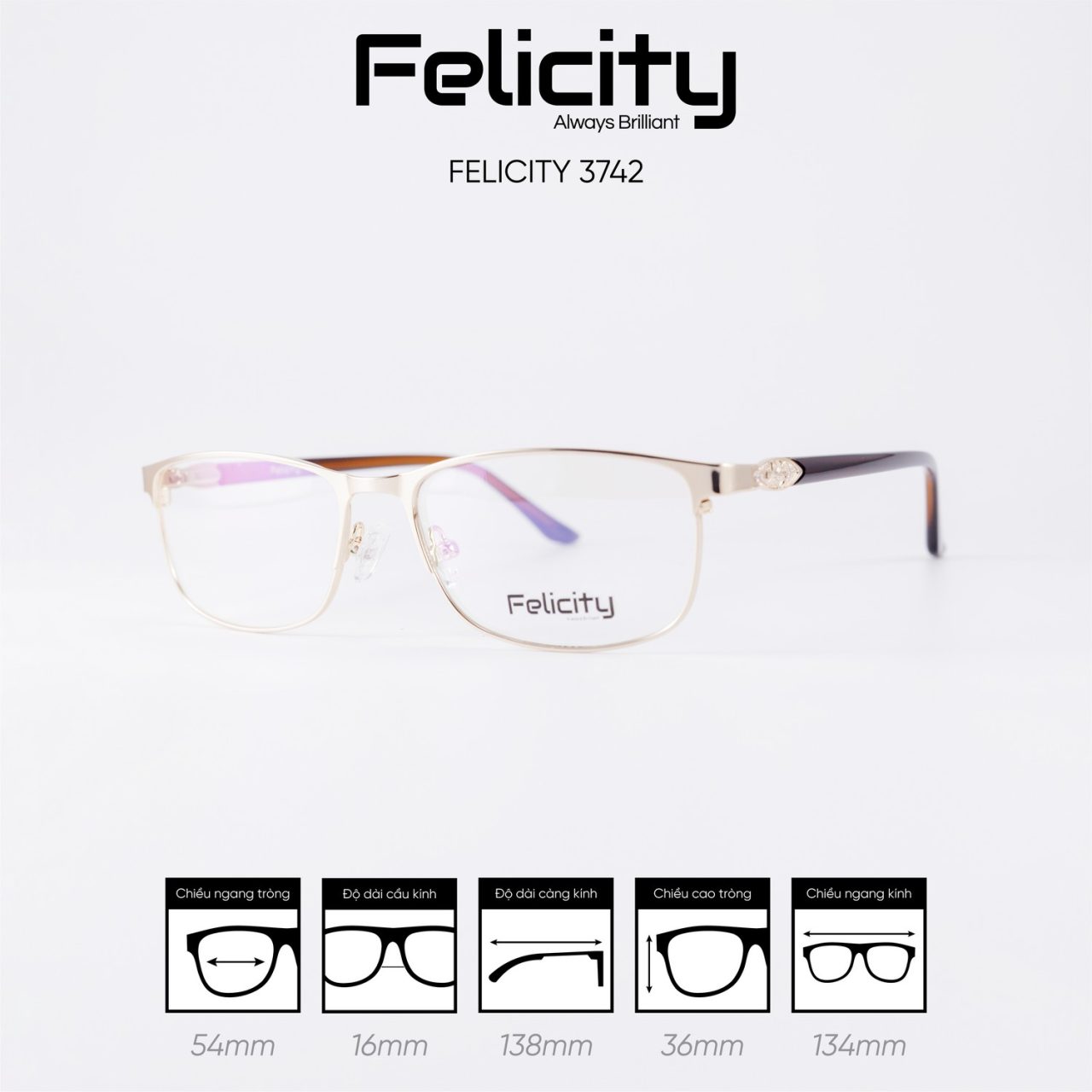 Gọng kính FELICITY 3742 - Ảnh 6