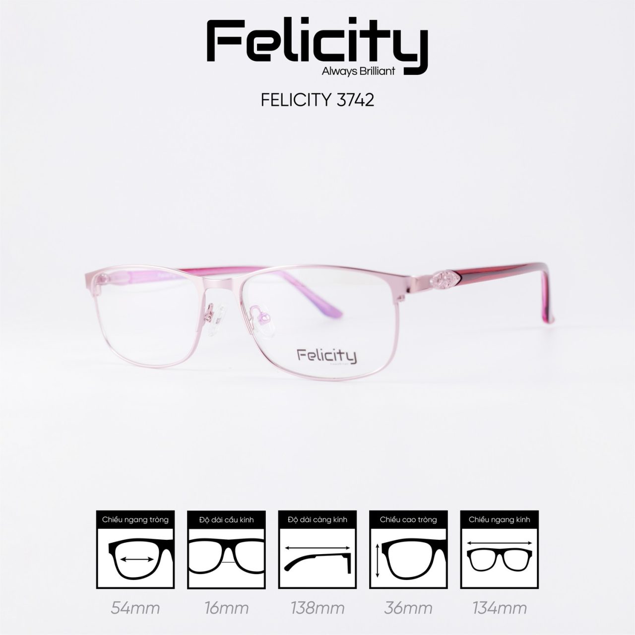 Gọng kính FELICITY 3742 - Ảnh 5