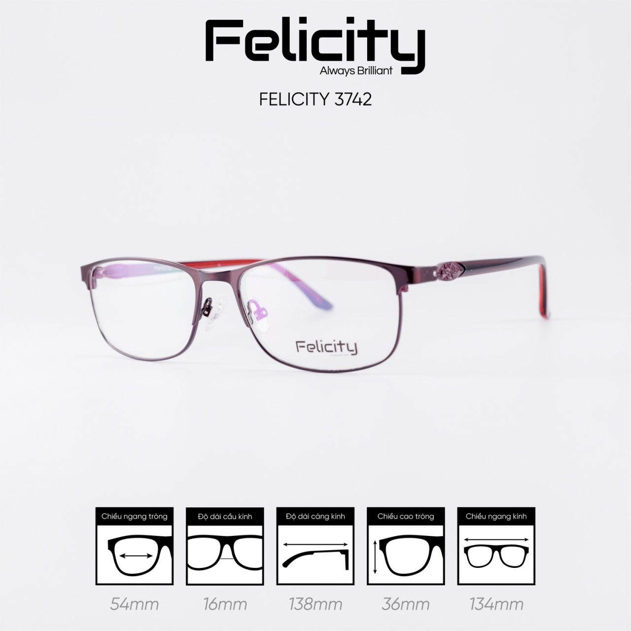 Gọng kính FELICITY 3742 - Ảnh 4