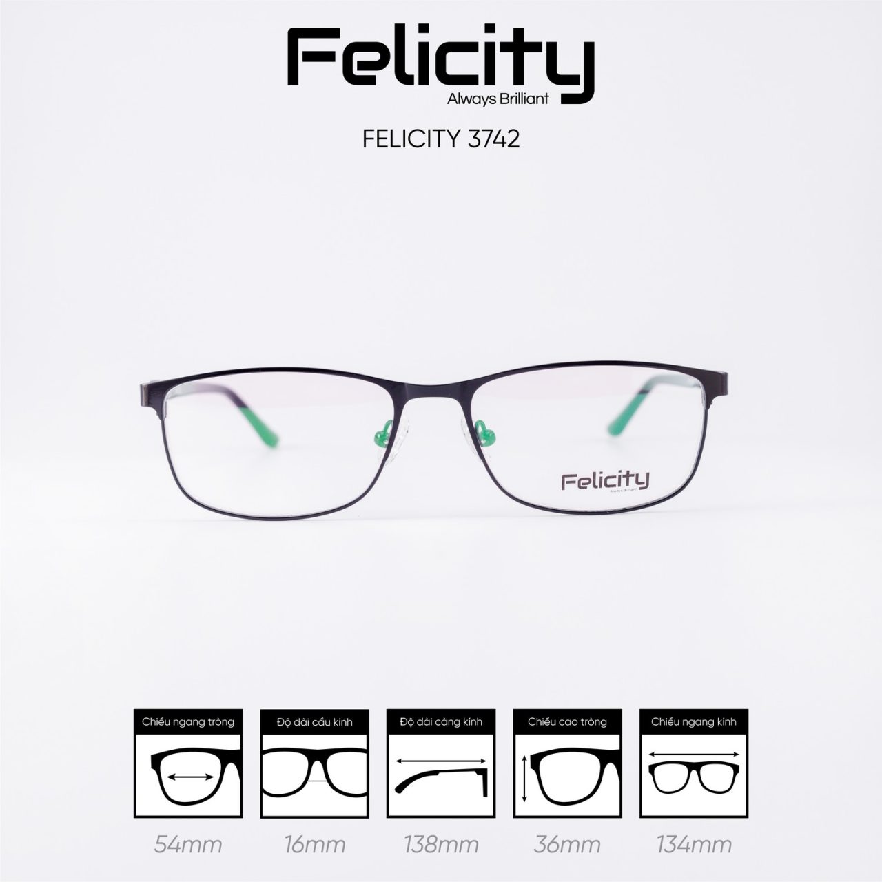 Gọng kính FELICITY 3742 - Ảnh 1