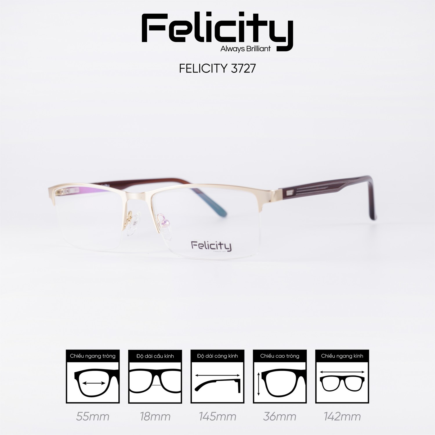 Gọng kính FELICITY 3727 - Ảnh 7