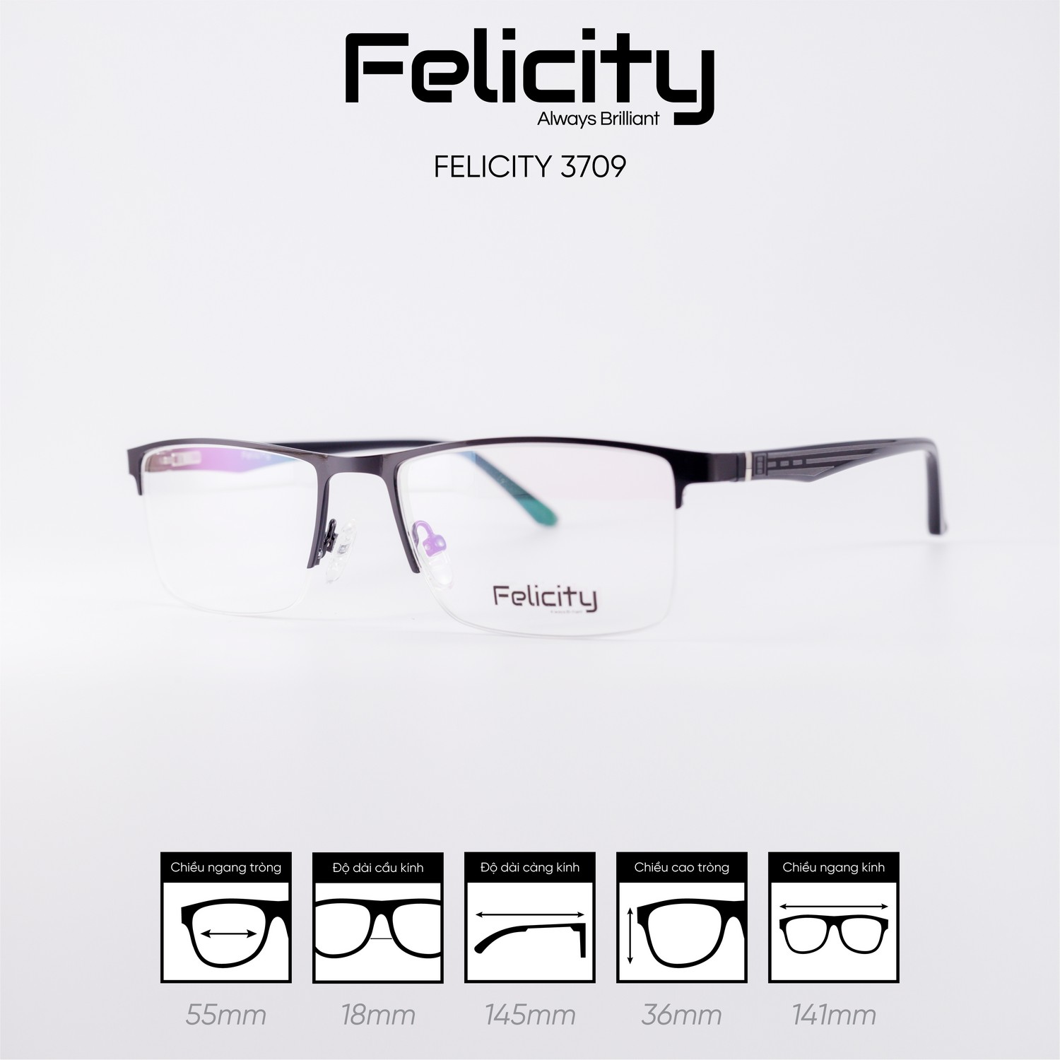 Gọng kính FELICITY 3709 - Ảnh 2