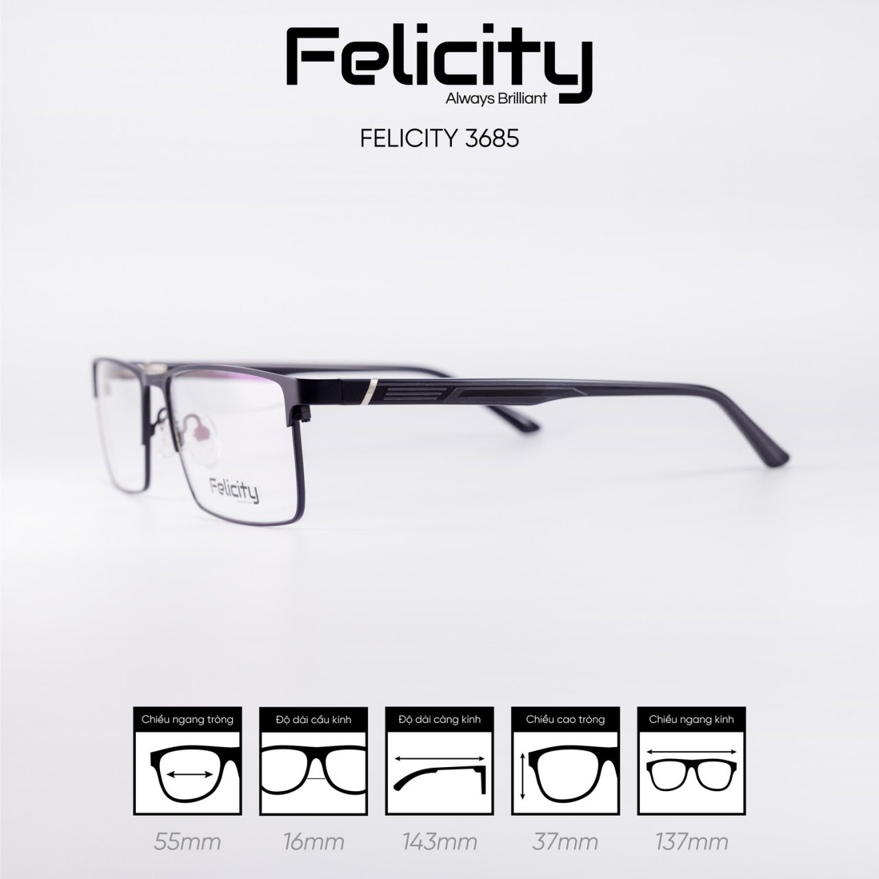 Gọng kính FELICITY 3685 - Ảnh 8