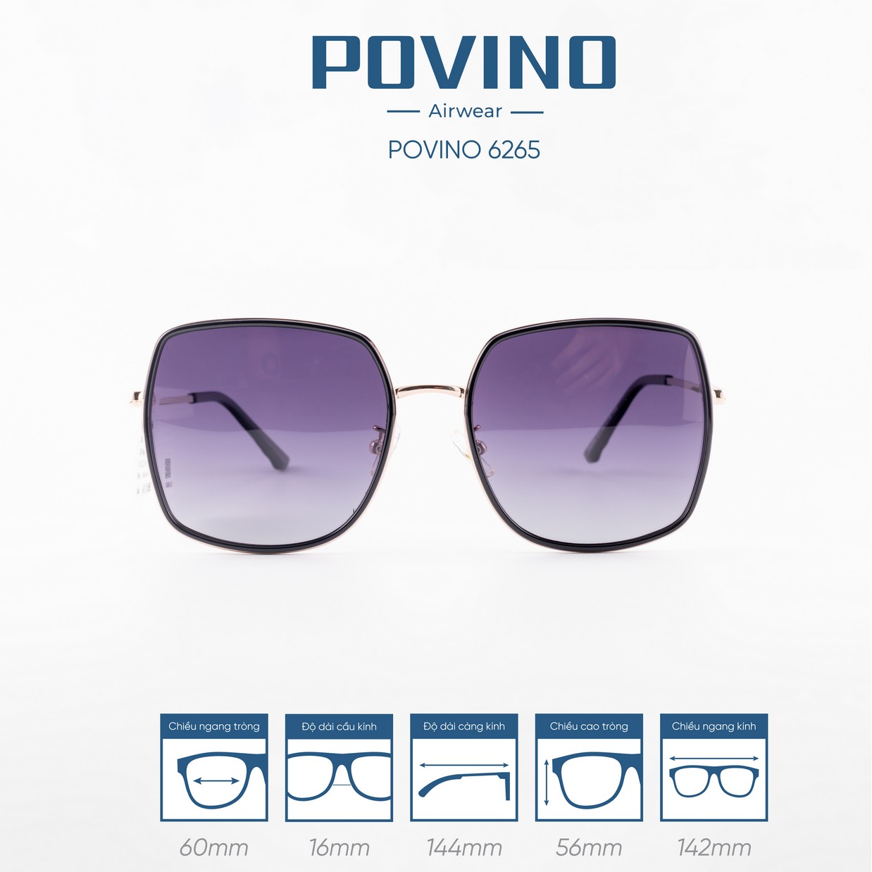 Kính Mát POVINO 6265