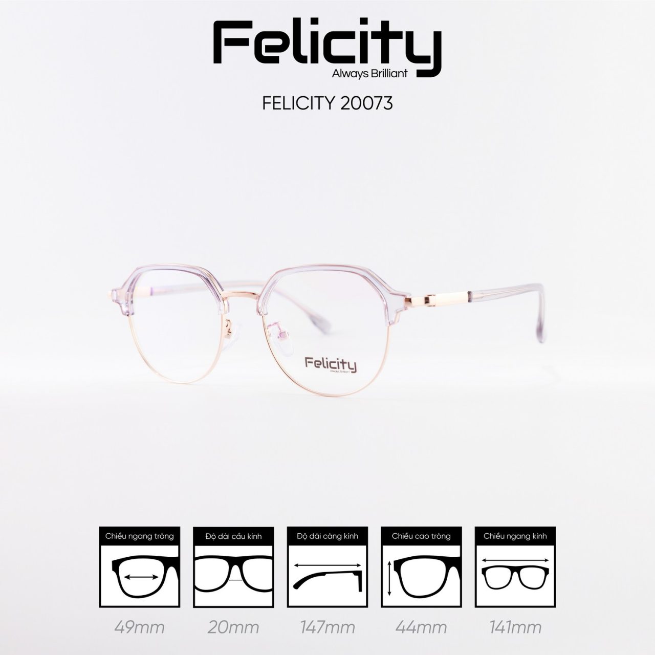 Gọng kính FELICITY 20073 - Ảnh 6