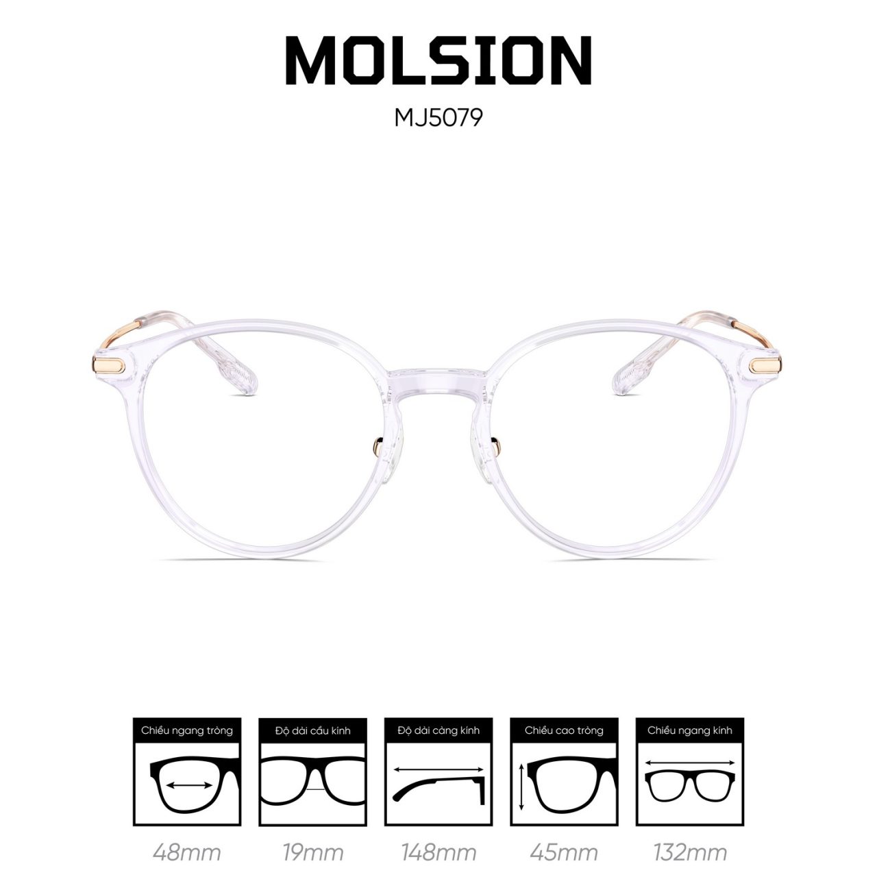 Gọng kính MOLSION MJ5079 - Ảnh 6
