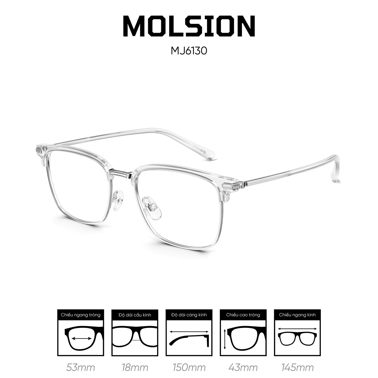 Gọng kính MOLSION MJ6130 - Ảnh 12