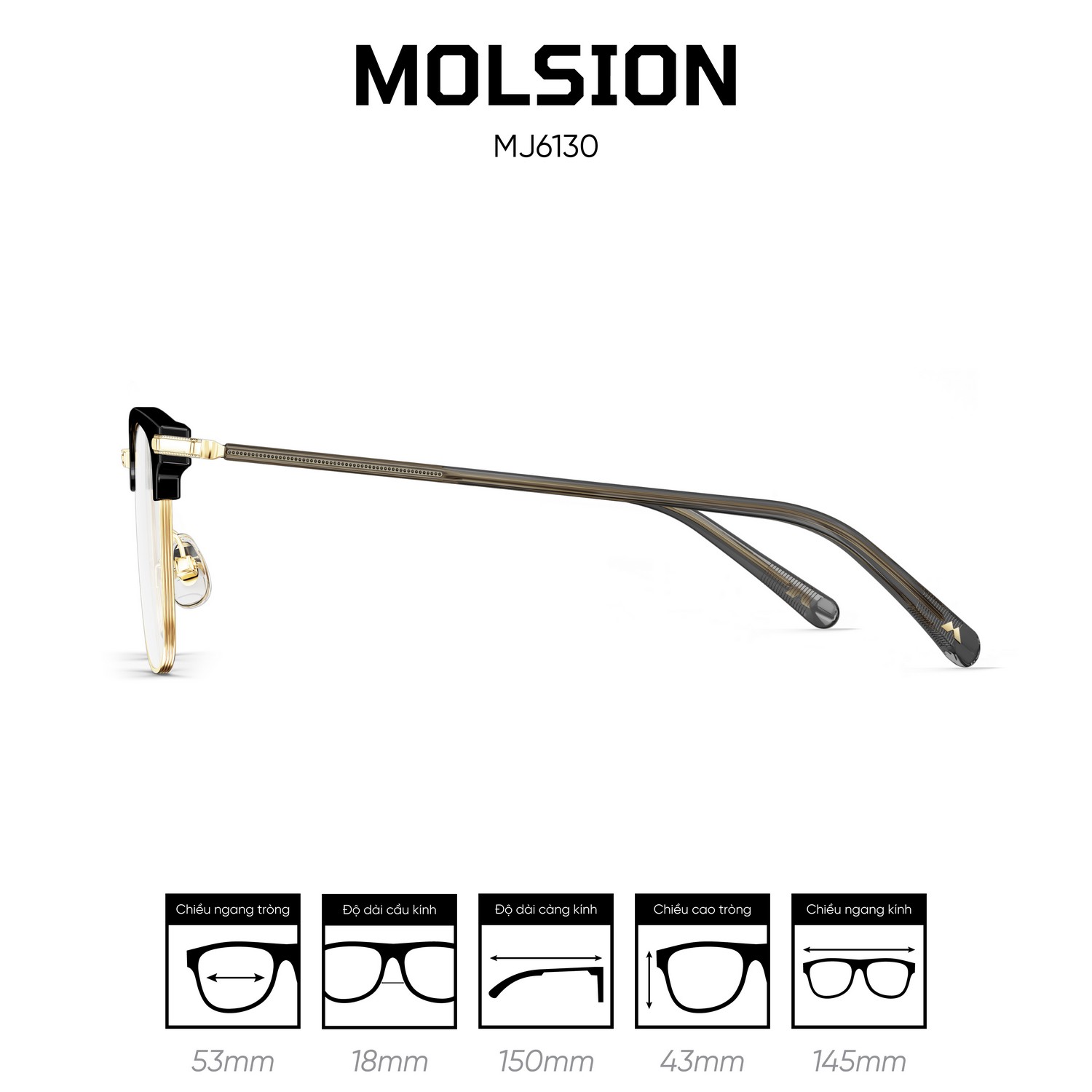 Gọng kính MOLSION MJ6130 - Ảnh 10