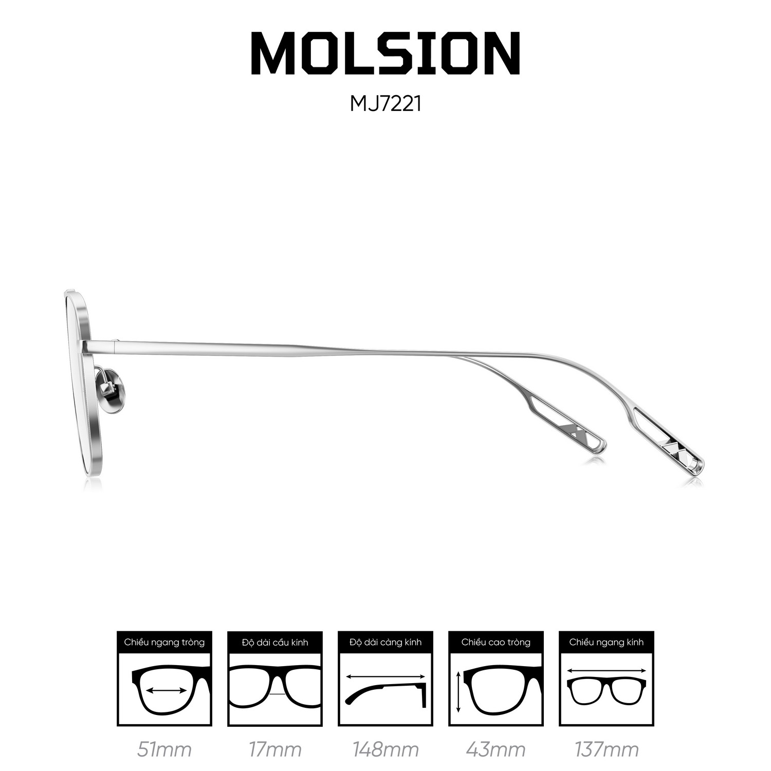 Gọng kính MOLSION MJ7221 - Ảnh 4