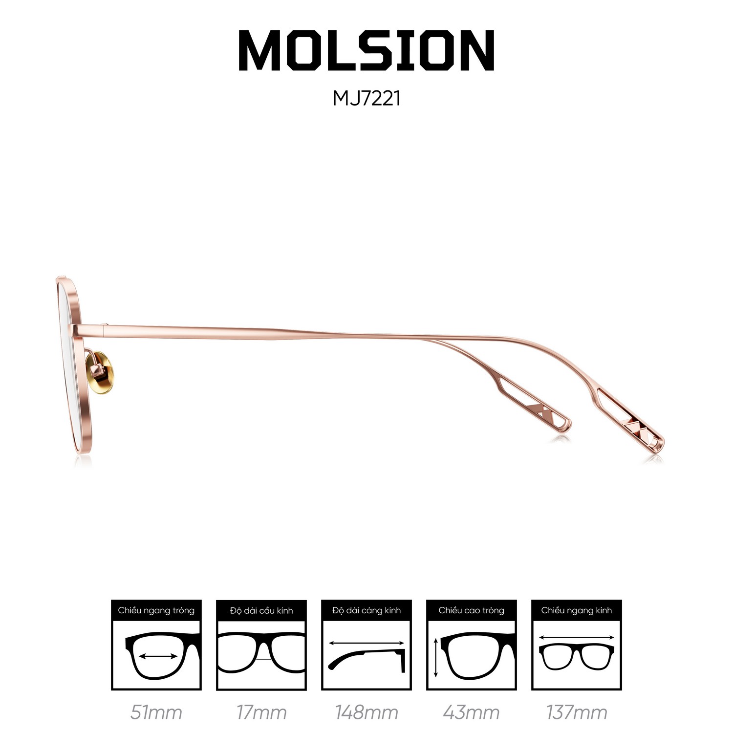 Gọng kính MOLSION MJ7221 - Ảnh 7