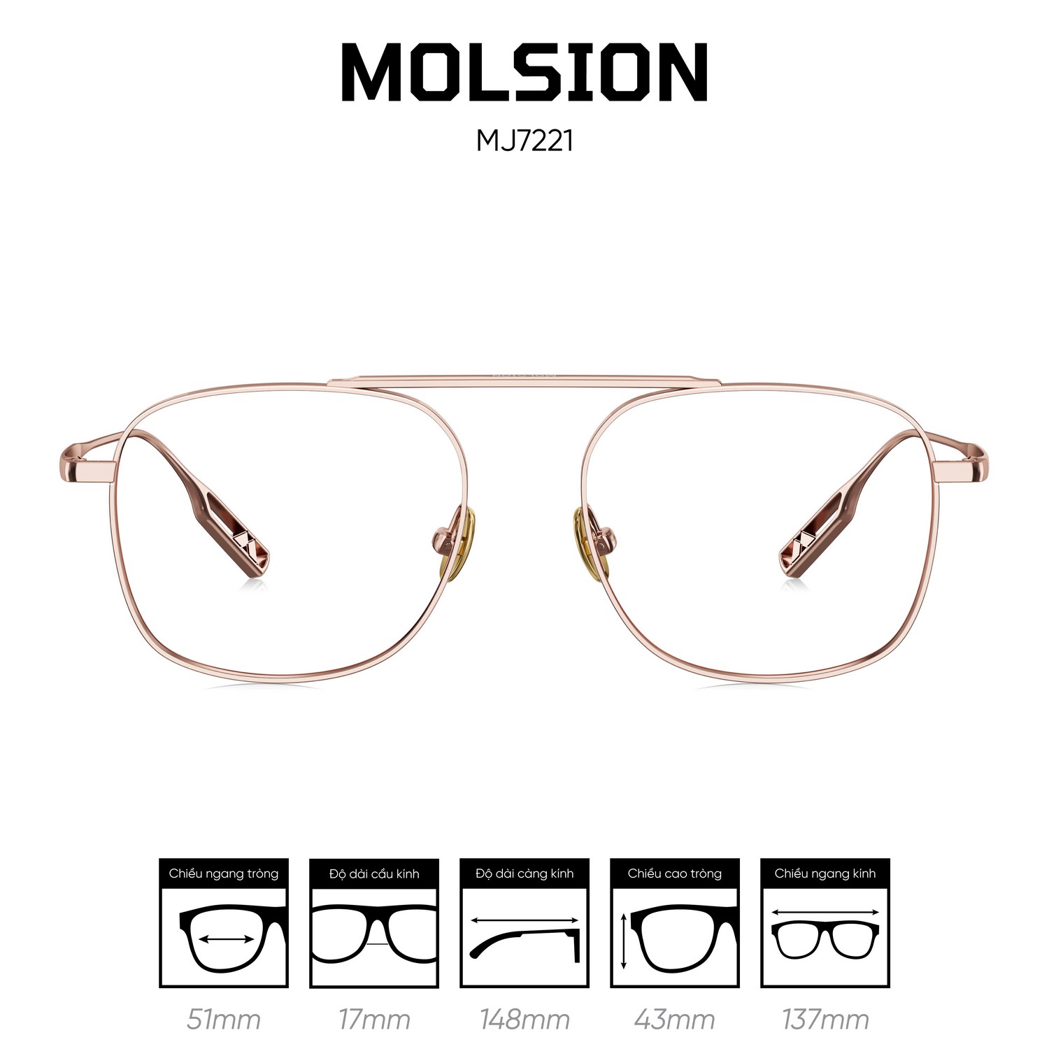 Gọng kính MOLSION MJ7221 - Ảnh 1