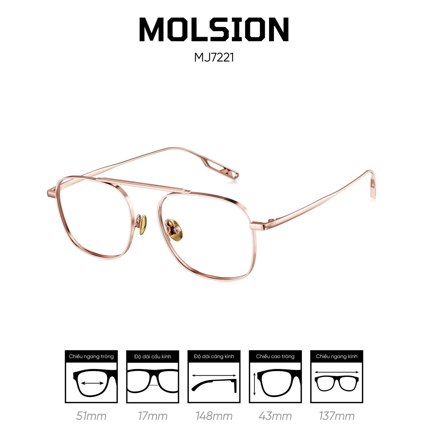 Gọng kính MOLSION MJ7221 - Ảnh 5