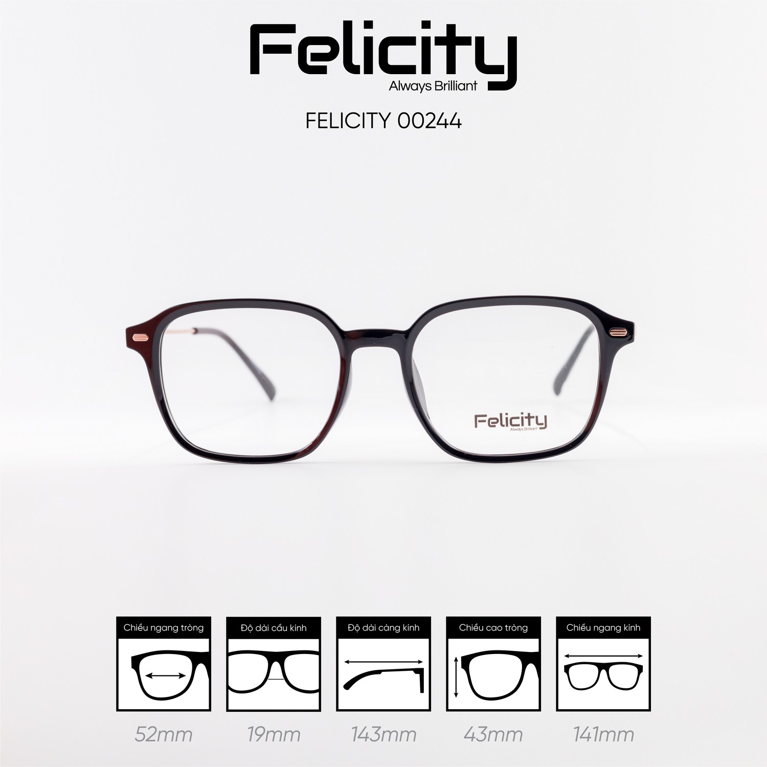 Gọng kính FELICITY 00244