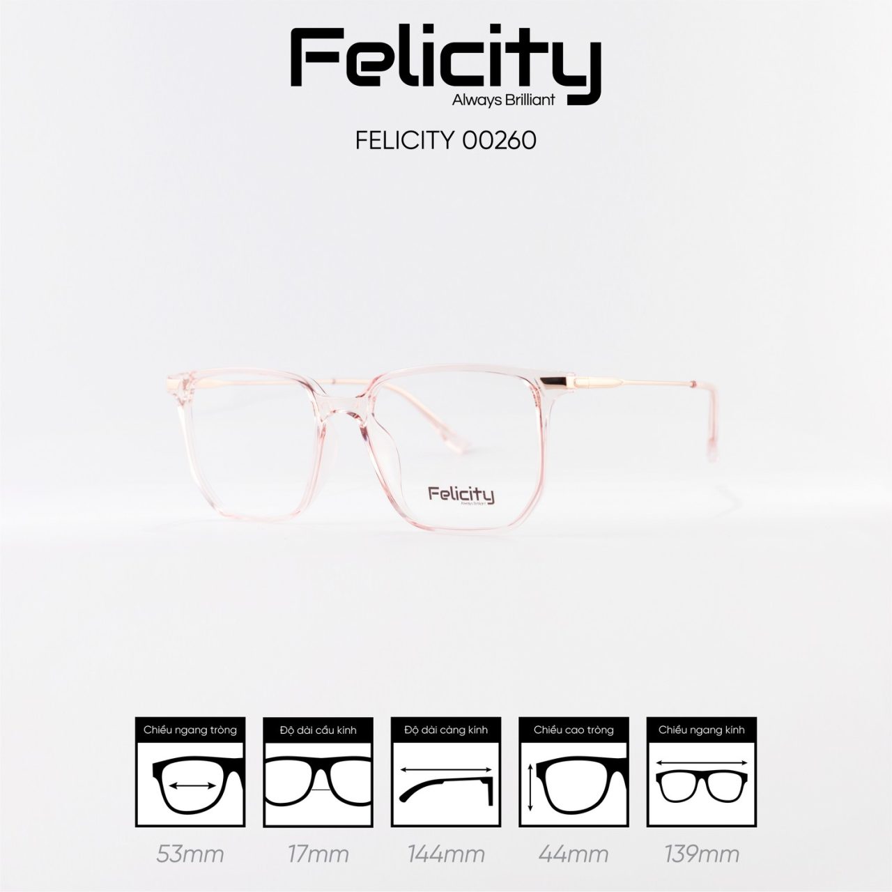 Gọng kính FELICITY 00260 - Ảnh 6