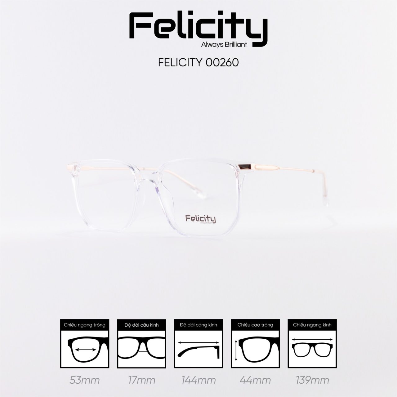 Gọng kính FELICITY 00260 - Ảnh 5