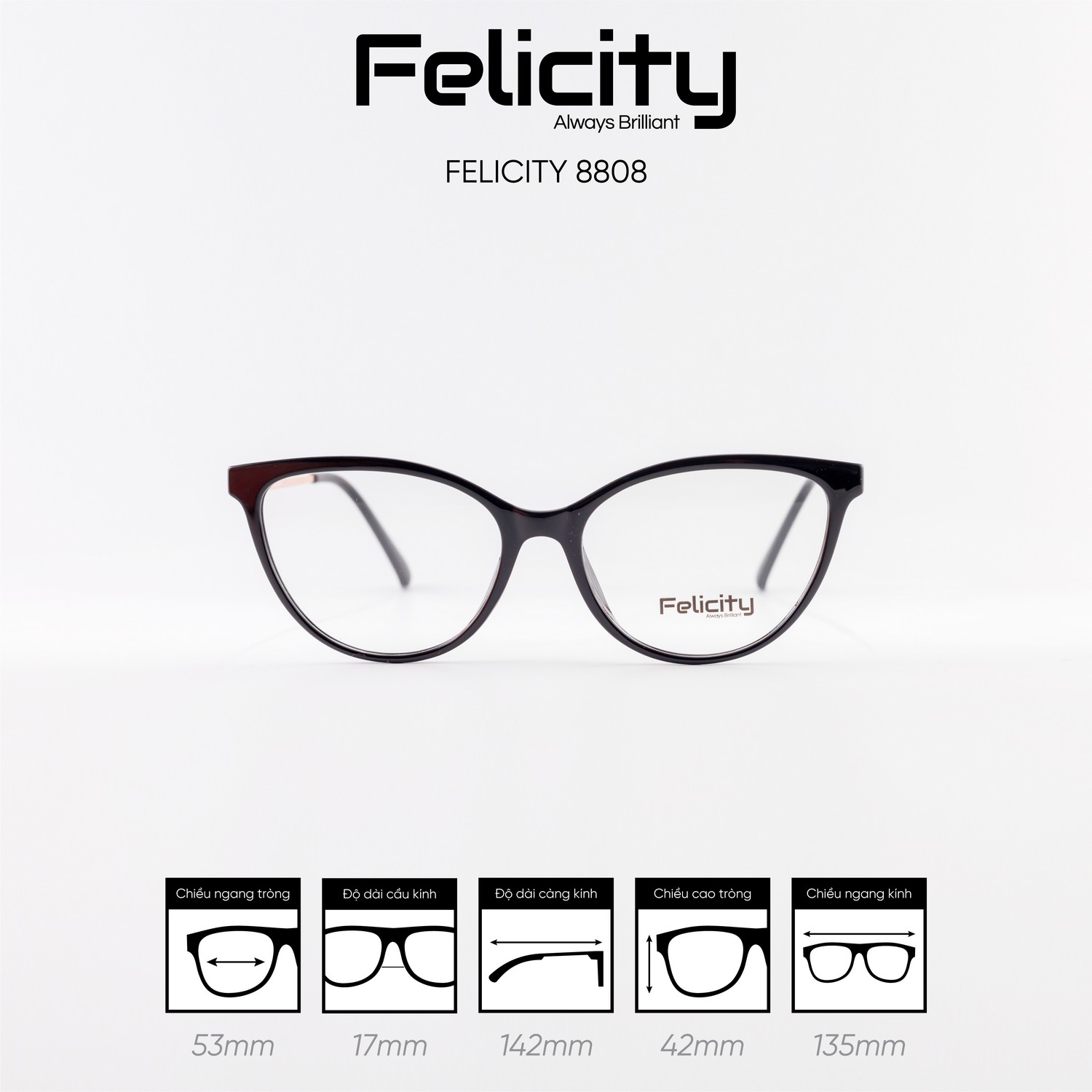 Gọng kính FELICITY 8808