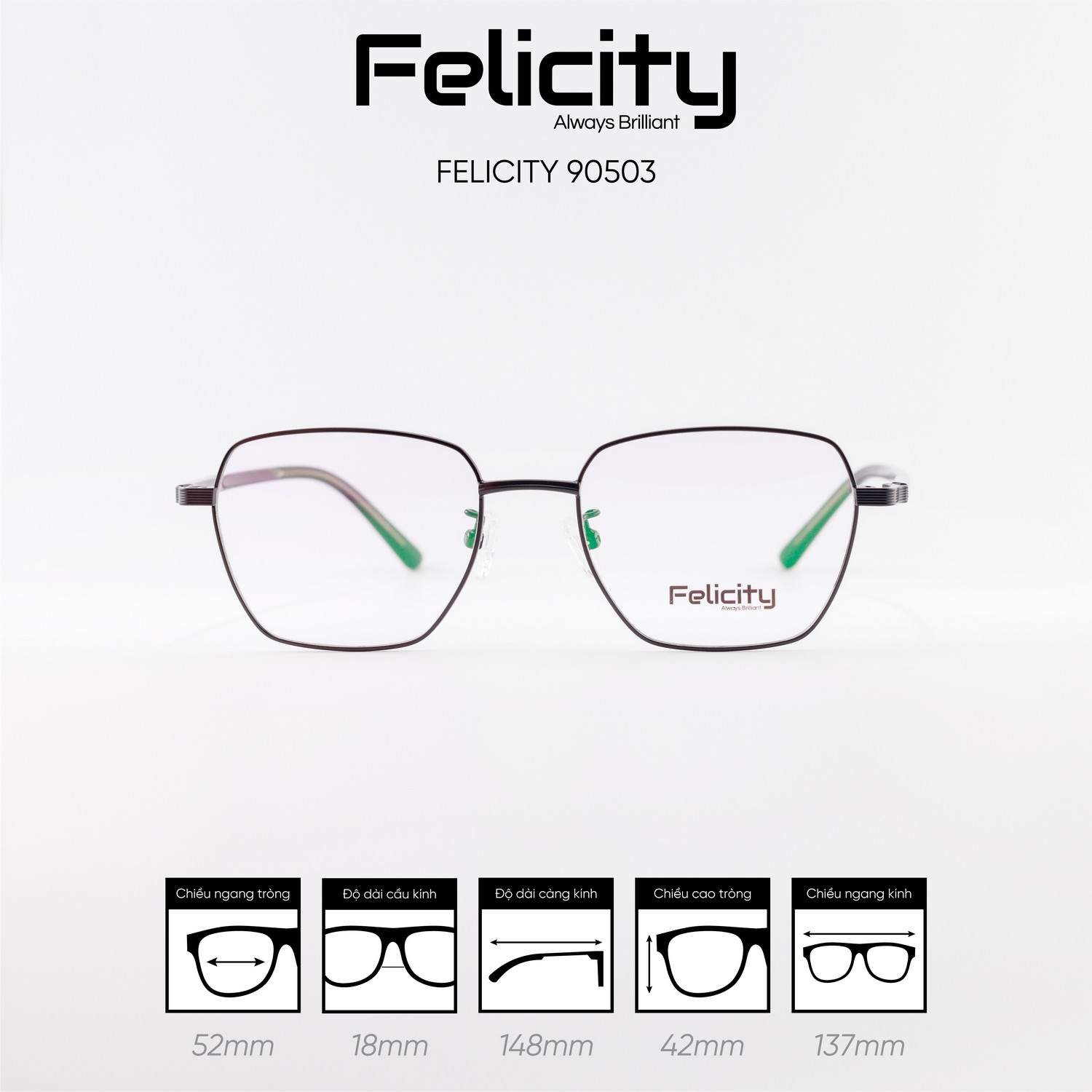 Gọng kính FELICITY 90503