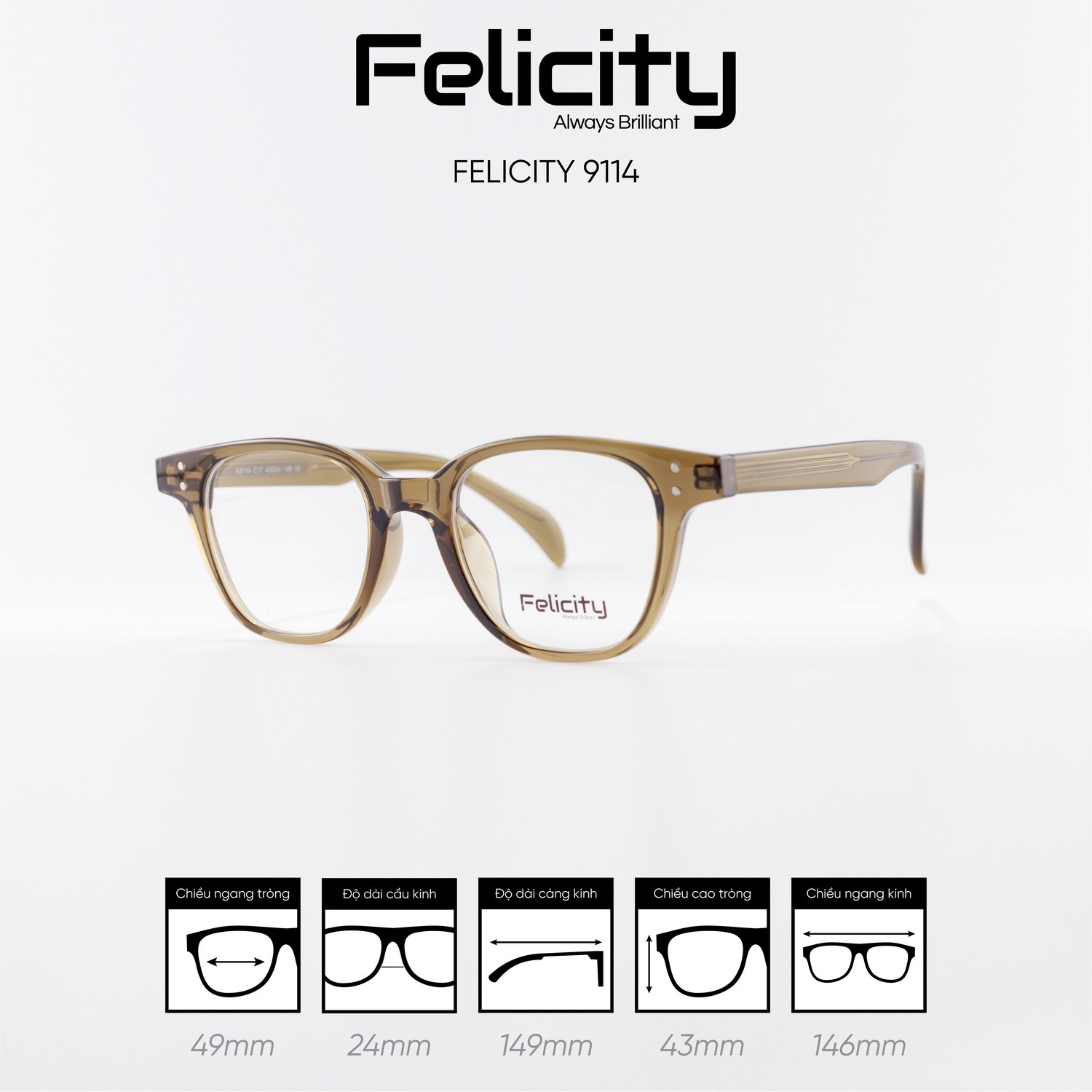 Gọng kính FELICITY 9114 - Ảnh 8