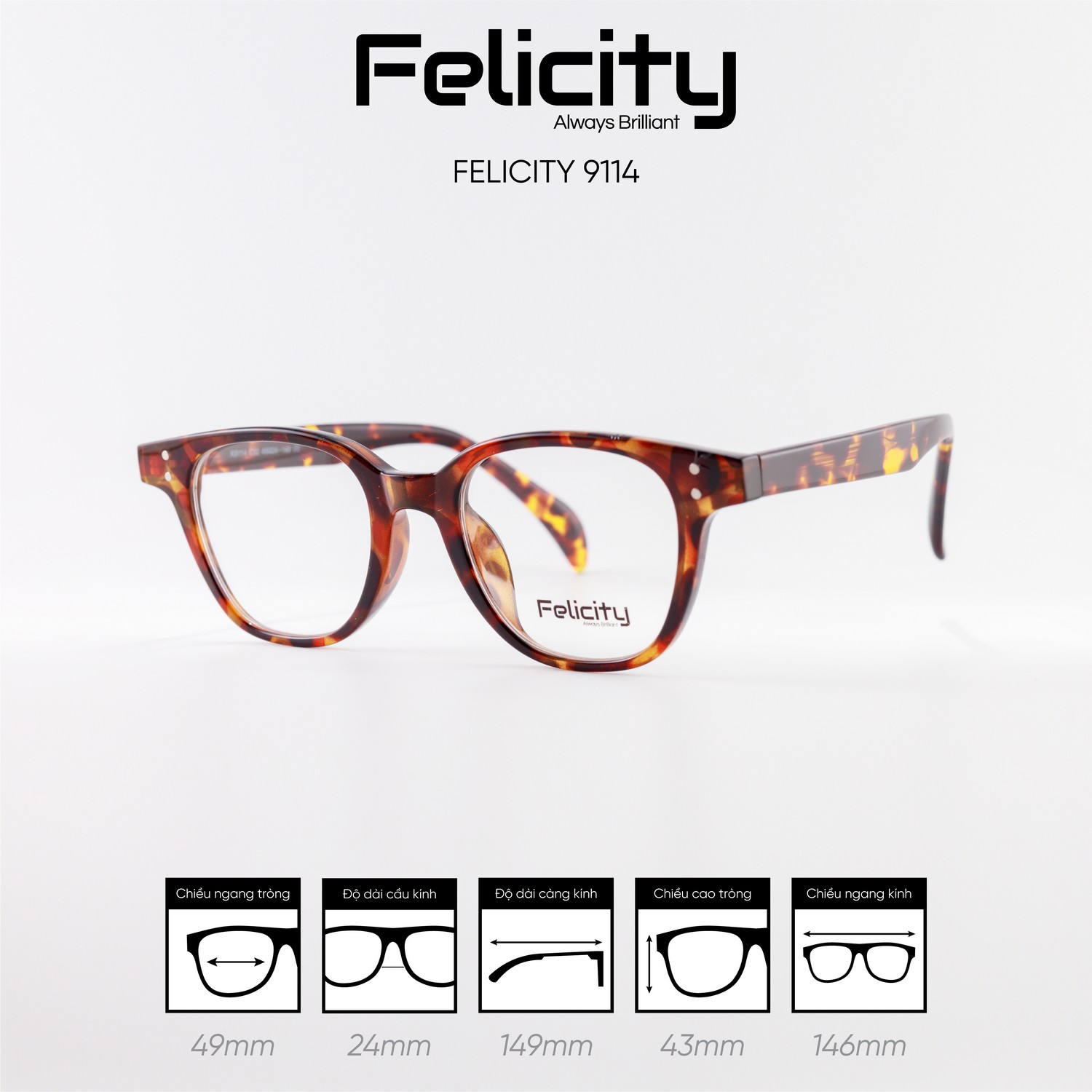 Gọng kính FELICITY 9114 - Ảnh 7