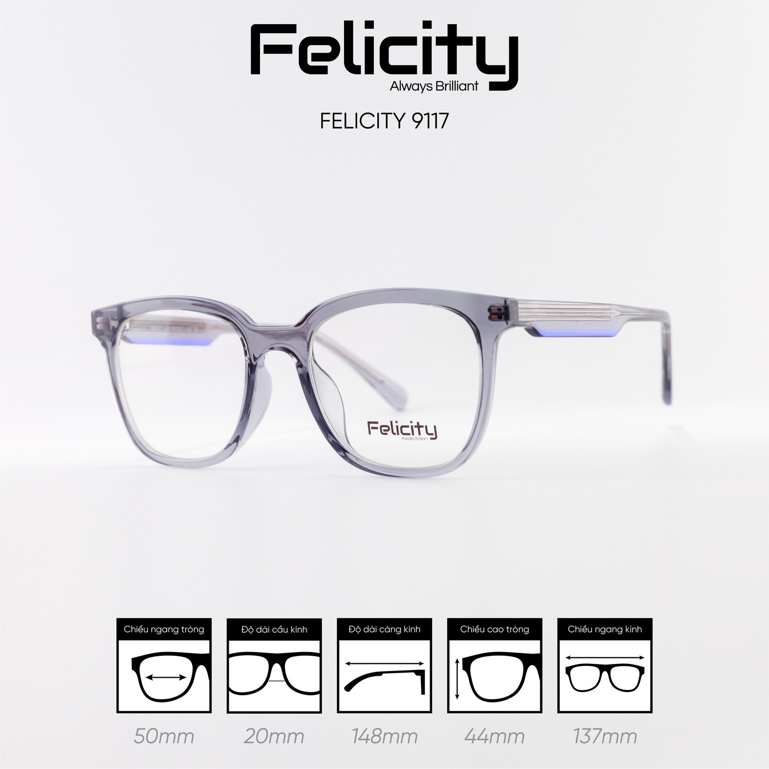 Gọng kính FELICITY 9117 - Ảnh 5