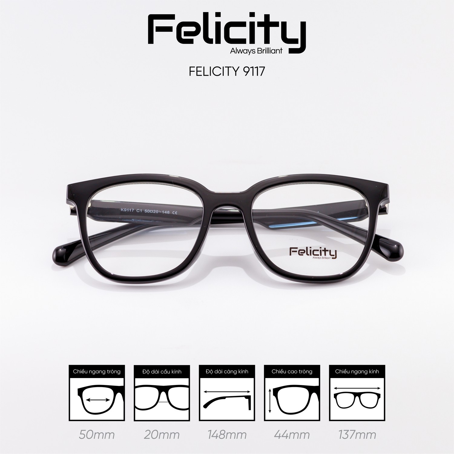 Gọng kính FELICITY 9117 - Ảnh 2
