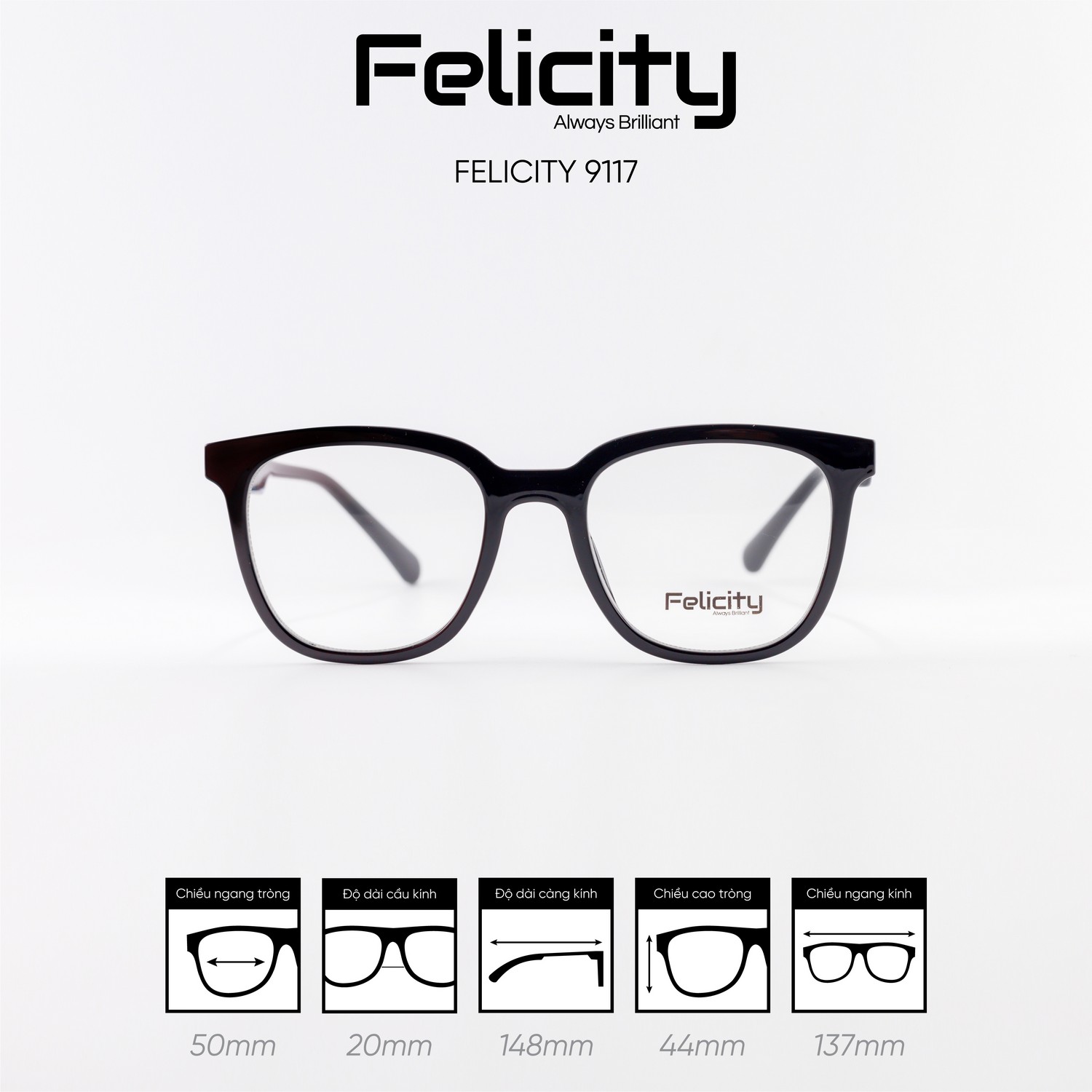 Gọng kính FELICITY 9117 - Ảnh 1