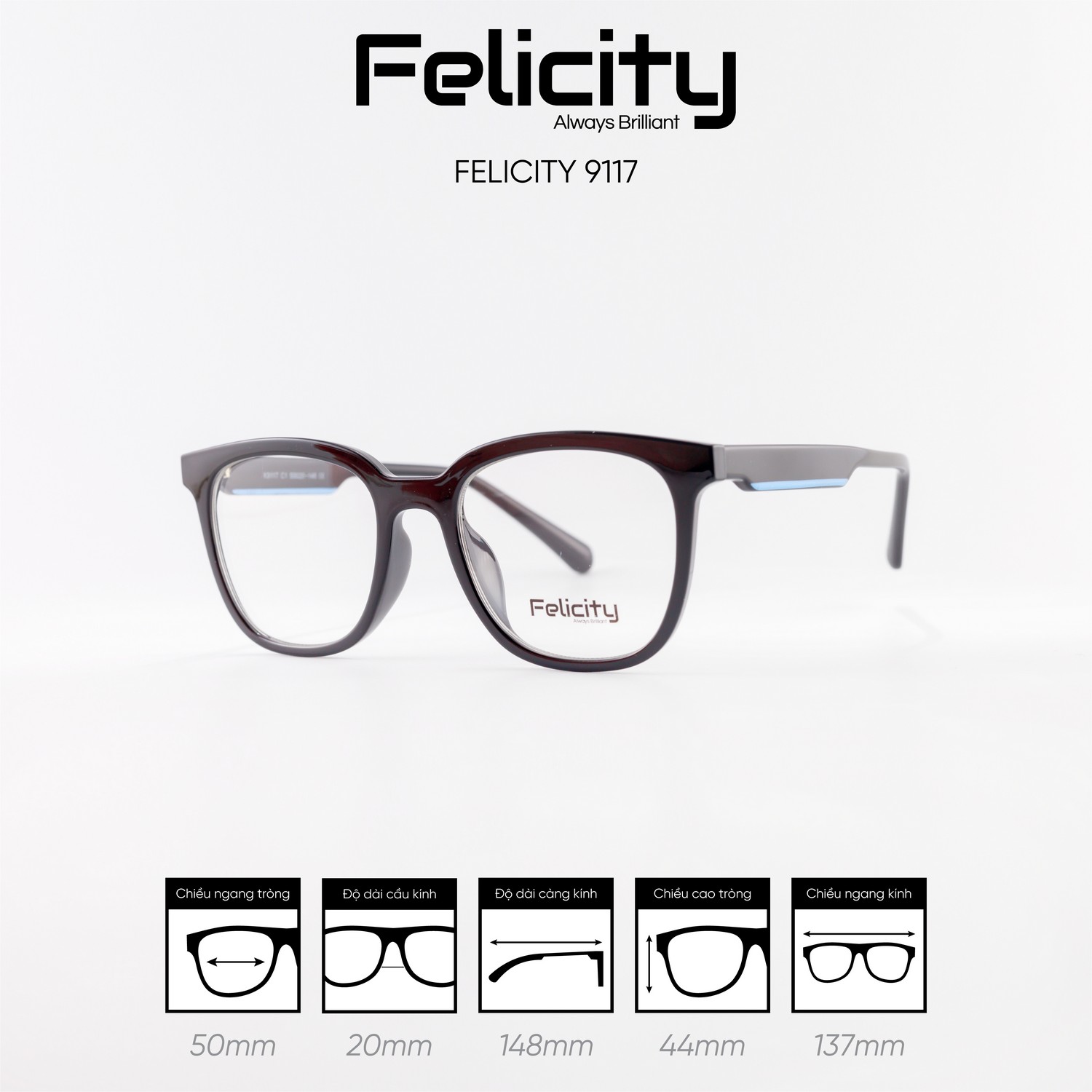 Gọng kính FELICITY 9117 - Ảnh 4