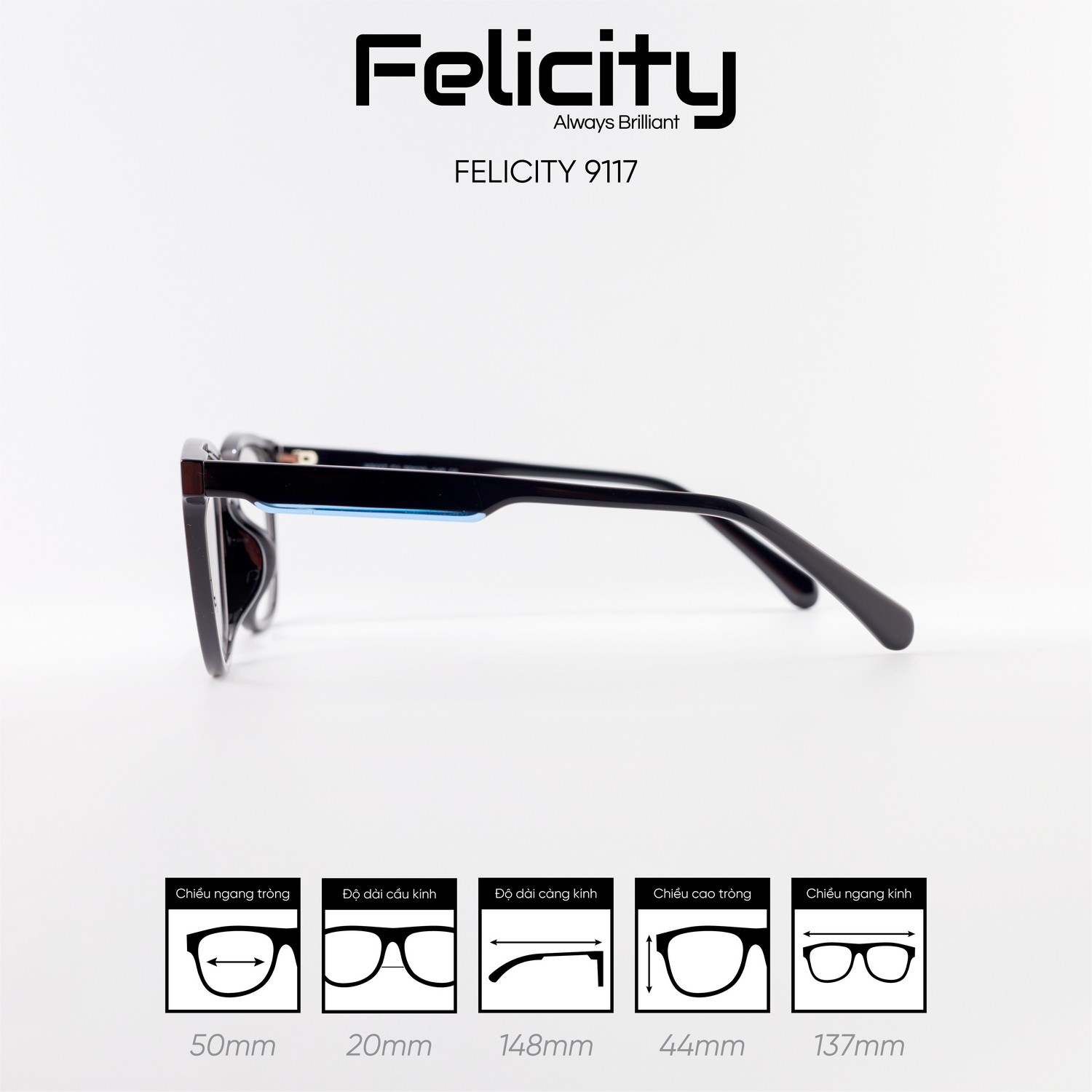 Gọng kính FELICITY 9117 - Ảnh 7