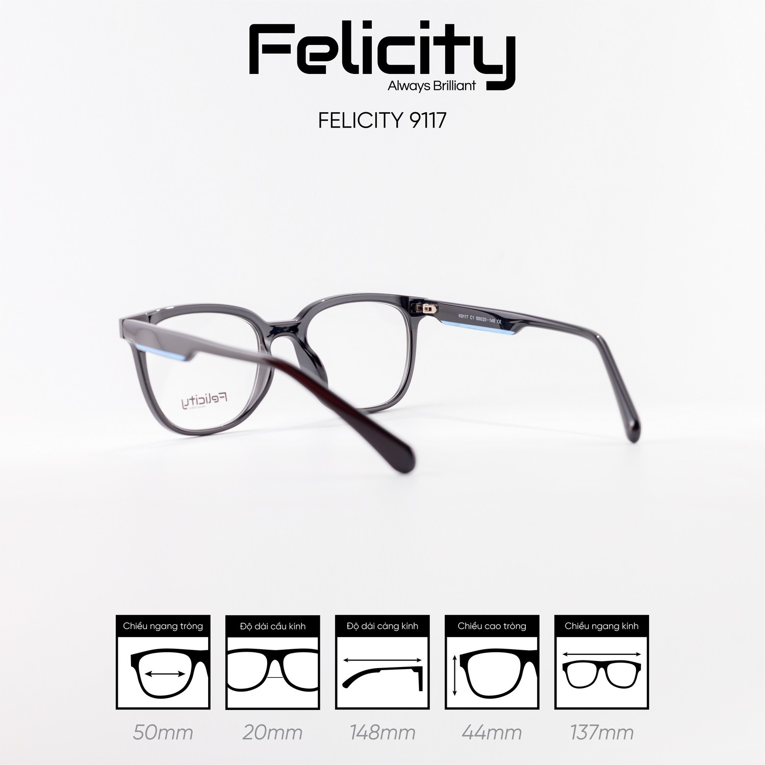 Gọng kính FELICITY 9117 - Ảnh 9
