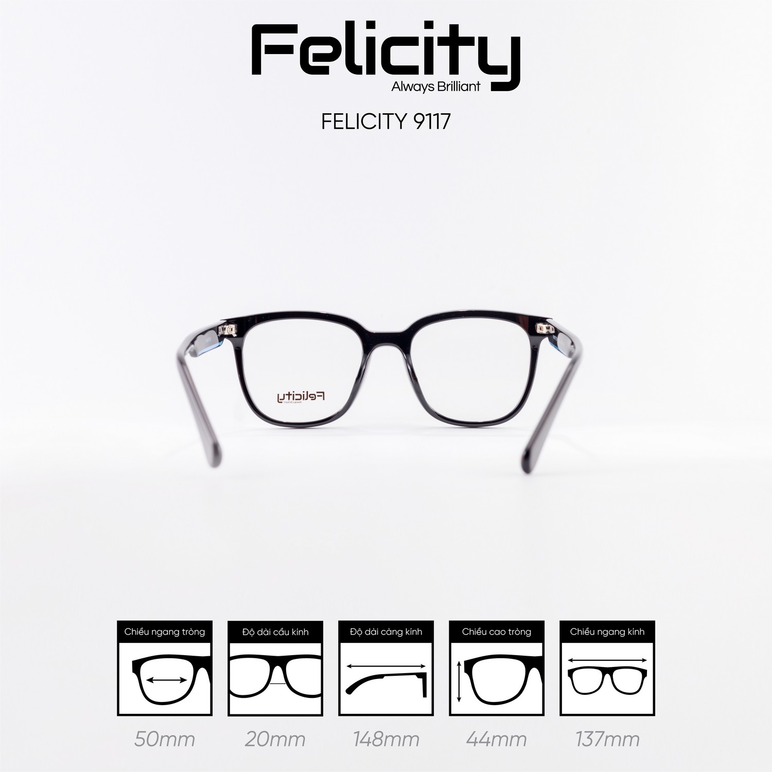 Gọng kính FELICITY 9117 - Ảnh 8