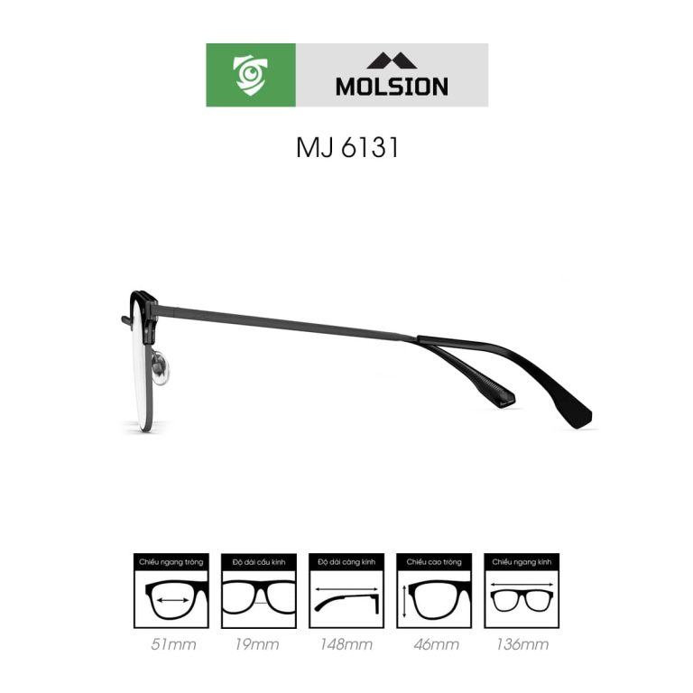 Gọng kính MOLSION MJ6131 - Ảnh 3