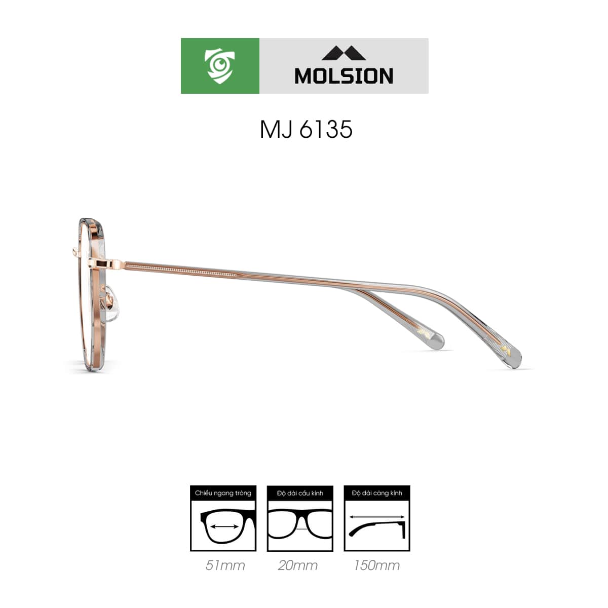 Gọng kính MOLSION MJ6135 - Ảnh 3